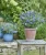 BUD_Summer-Bird-Patio_Blue_104_497140_9068-5_KATALOGBILD-r1-380×450-proportionalsmallest-2
