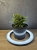 IMG_6186