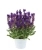 SAL_Menkar_Dark-Blue_DA_476046_KATALOGBILD-r1-380x450-proportionalsmallest.webp